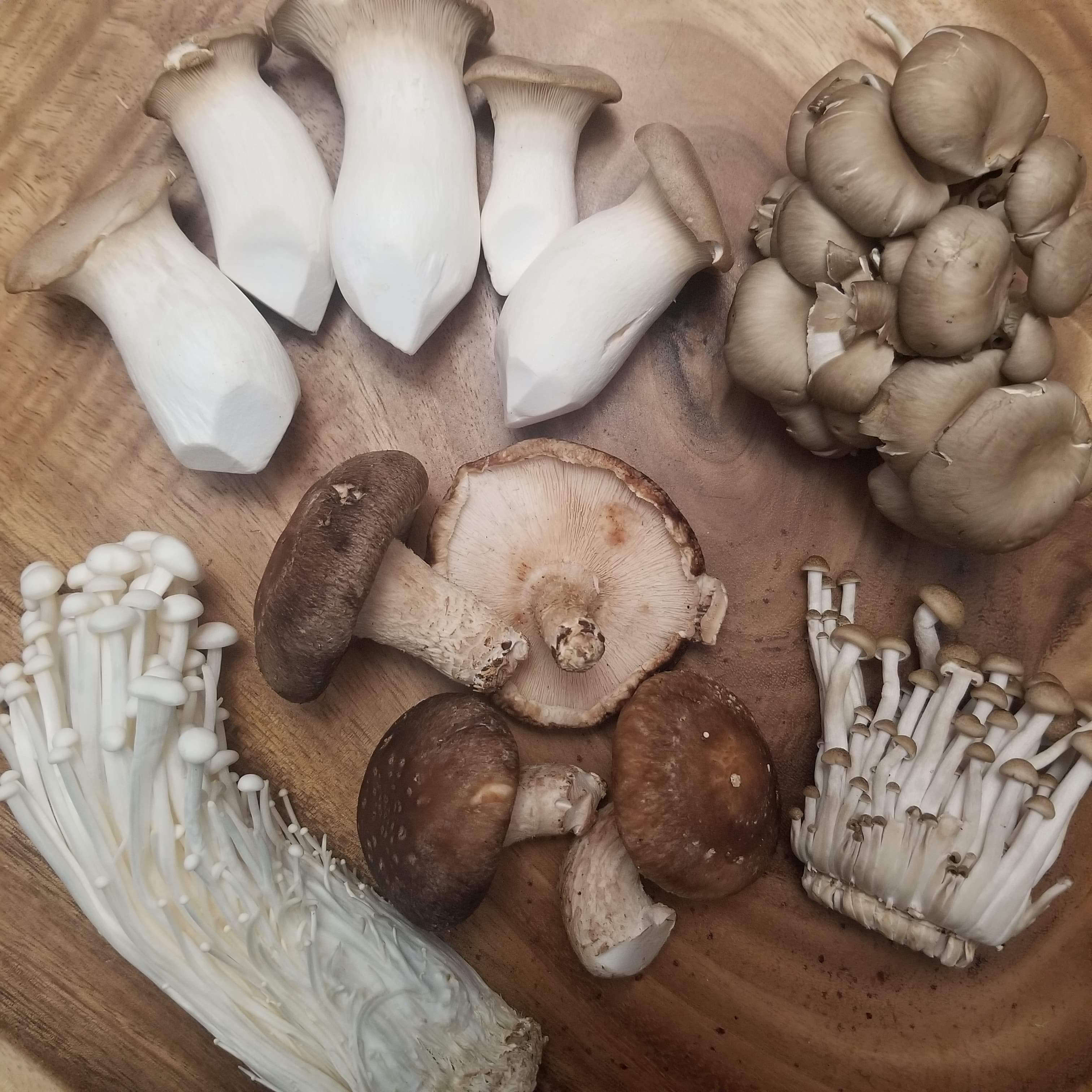 Gourmet Mushrooms Mix Box